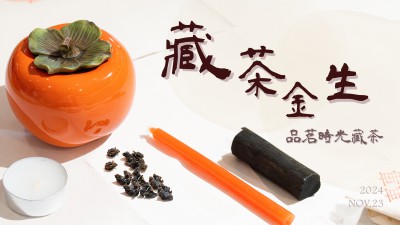 生活習(xí)作 x 藏茶金生 - 品茗時光藏茶